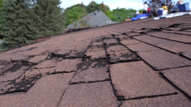 Best Hot Roofs  in Buckhorn, CA