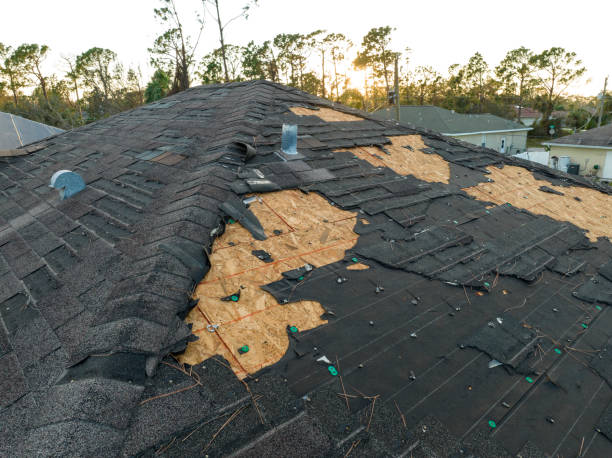 Best Roof Insulation Installation  in Buckhorn, CA