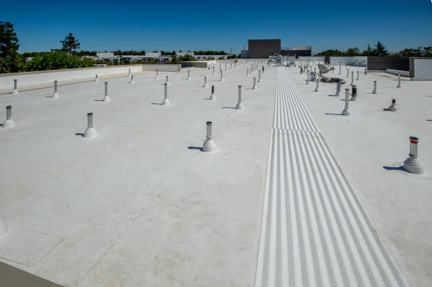 Best Cold Roofs  in Buckhorn, CA